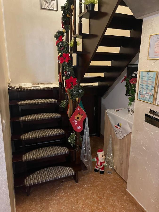 Casa Cu Pitici ξενώνας Vama  Εξωτερικό φωτογραφία