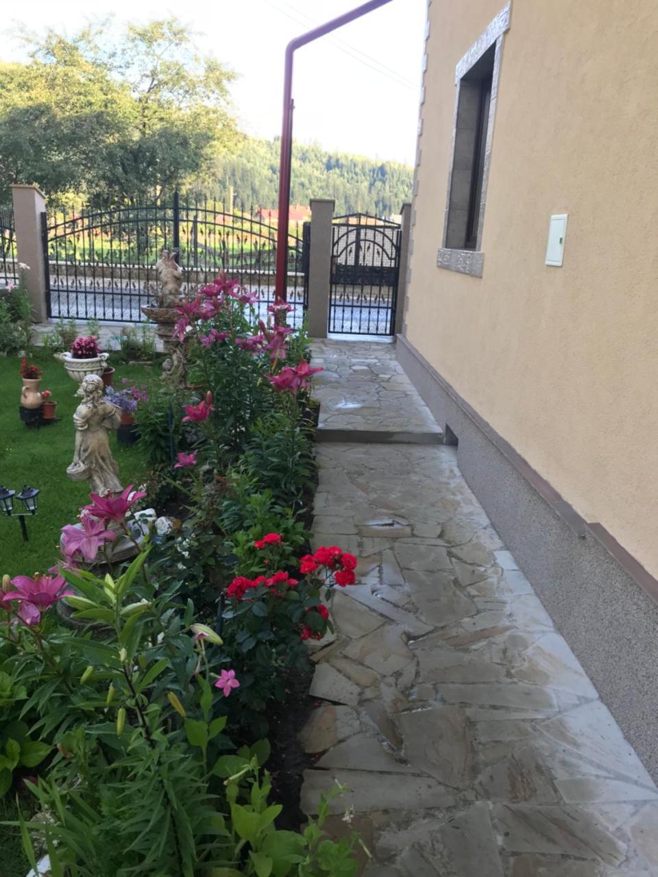 Casa Cu Pitici ξενώνας Vama  Εξωτερικό φωτογραφία